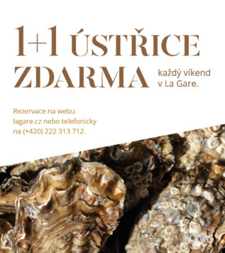 ÚSTŘICE 1+1 ZDARMA V LA GARE